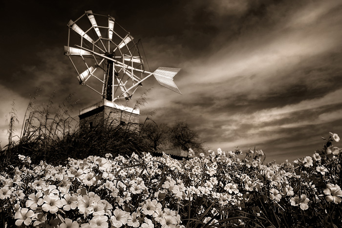 Spanish windmill