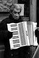 Accordion Guy