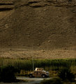 Wadi Watch