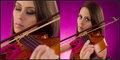 Violexi