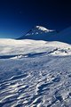 Textures of Winter