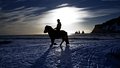 Evening Trot