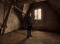 Sander