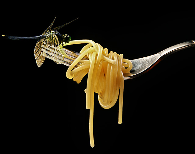 Delicacy