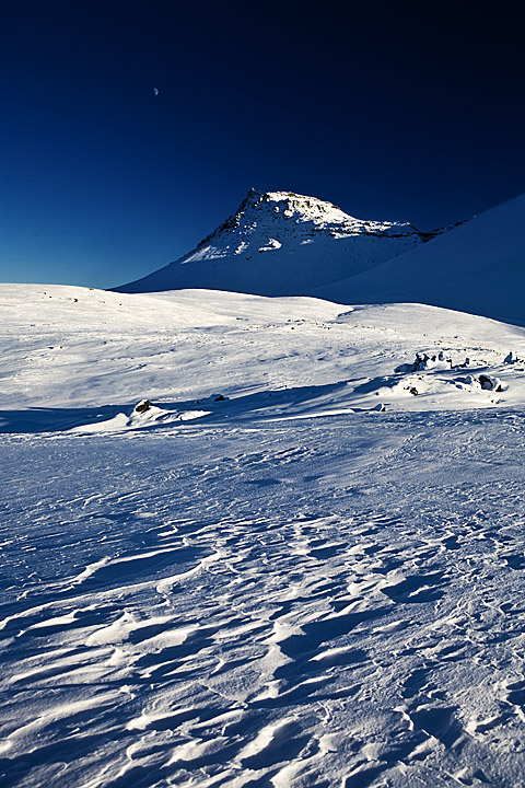 Textures of Winter