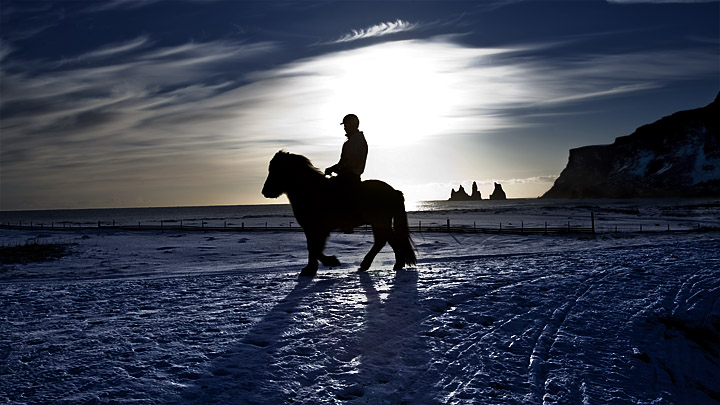 Evening Trot