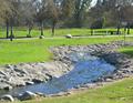 Creek in a park