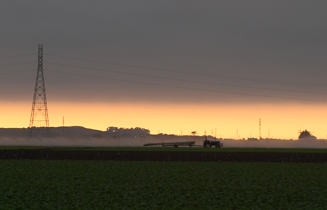 Salinas, California