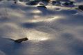 Sun's Rays On A Cold Day