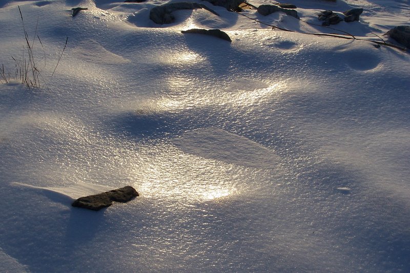 Sun's Rays On A Cold Day