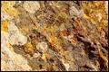 Textures II