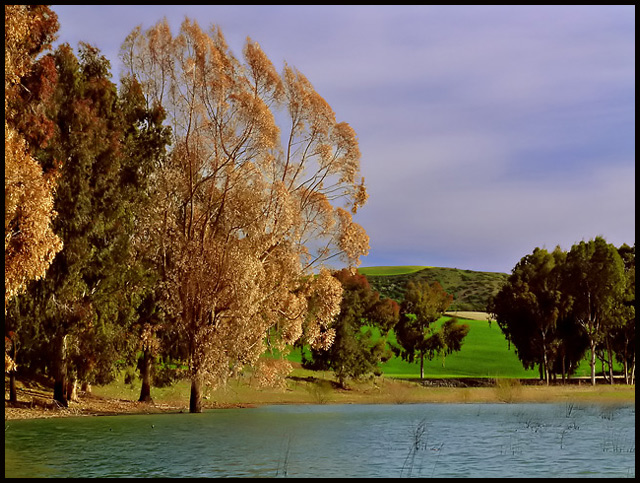Beginning of Spring at Bornos