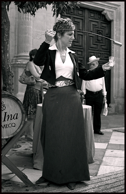 Venenciadora