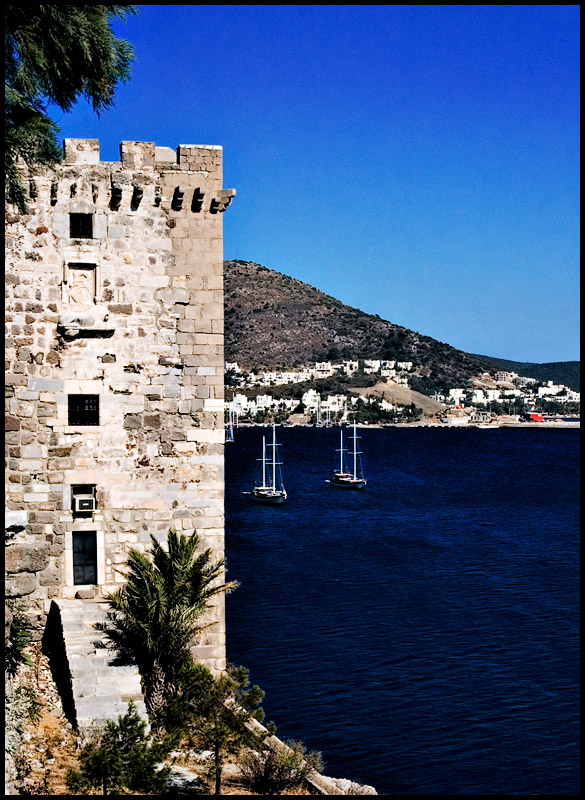 Templar's Fortress