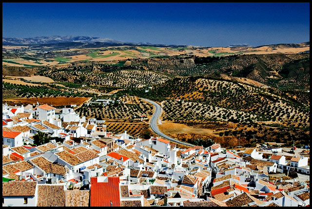 Olvera's Roofs