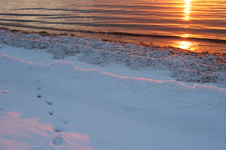 Footprints in the Snow, Winter Sunset