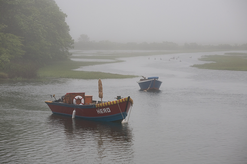IMG_4276-raw