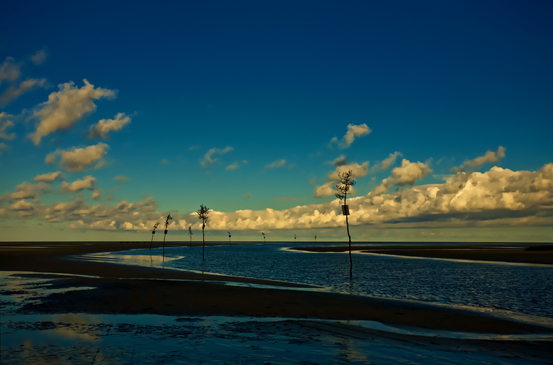 Channel Markers, Rock Harbor
