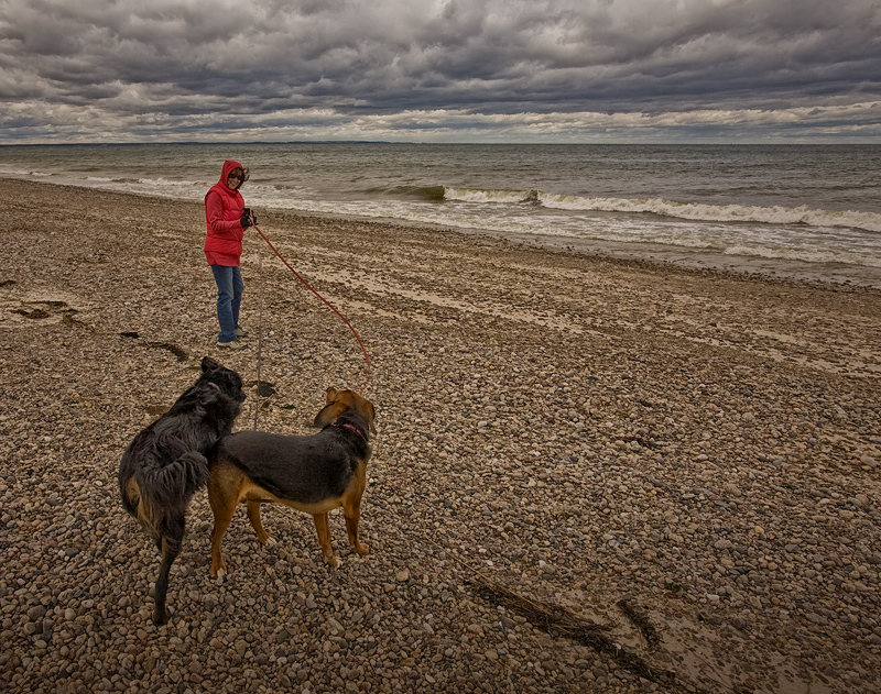Encounter at Sandy Neck