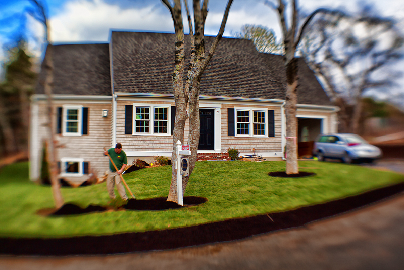 The Landscaper