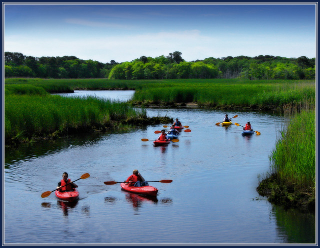 kayaks1b.jpg