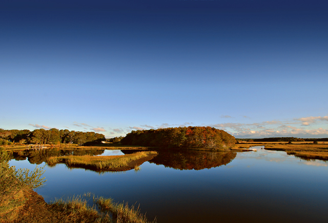 wide-marsh-refect.jpg