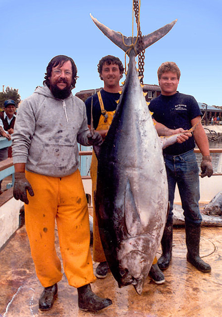 Yellowfin Tuna 282 lbs 