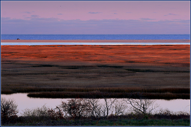 banded-nauset-tele-IMG_1712.jpg