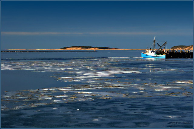 Blue Boat, Icebound  Wellfleet Harbor