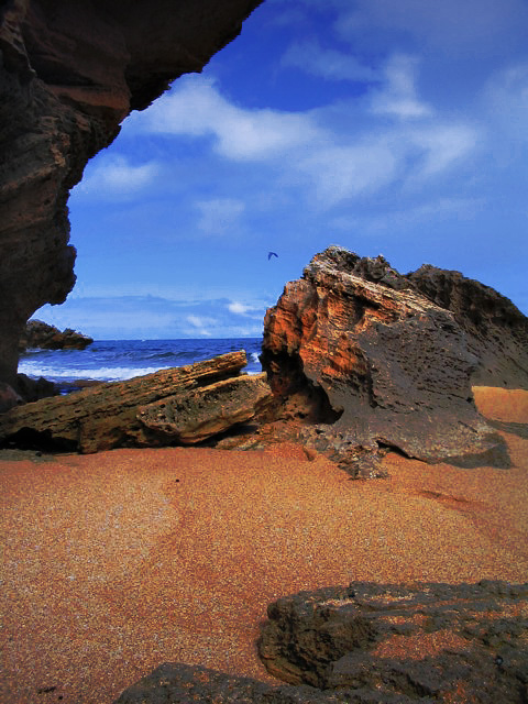 penny-rocks.jpg