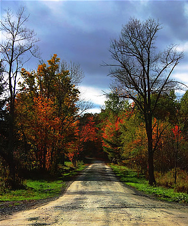 oddysey-road.jpg
