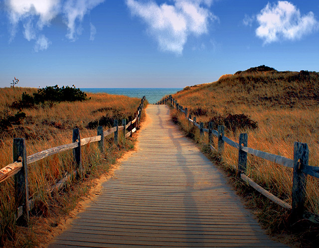 thn_beach1.jpg