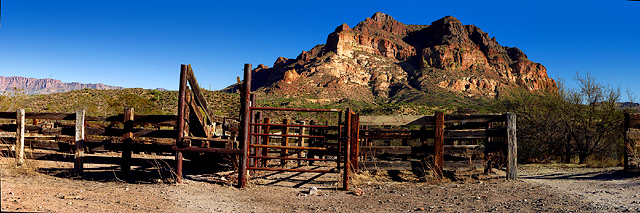 stdavidson-fence.jpg