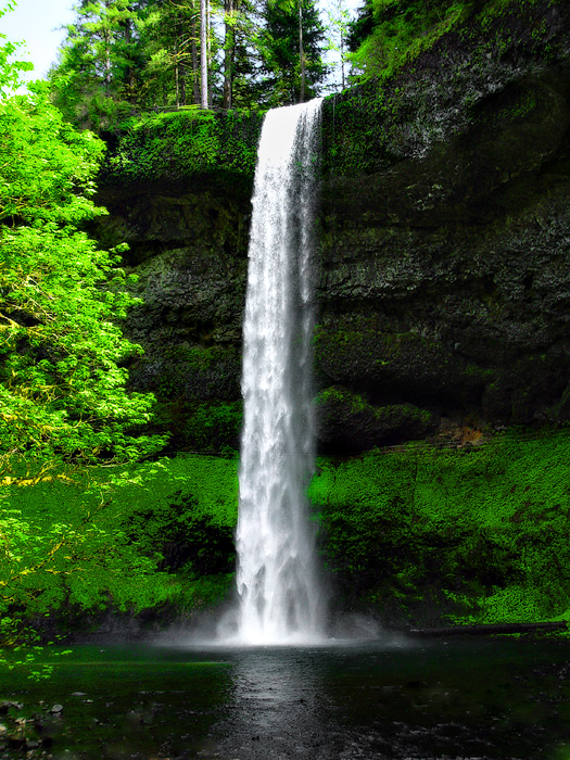stdavid-tall-fall.jpg