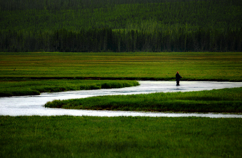 wave-fisherman.jpg