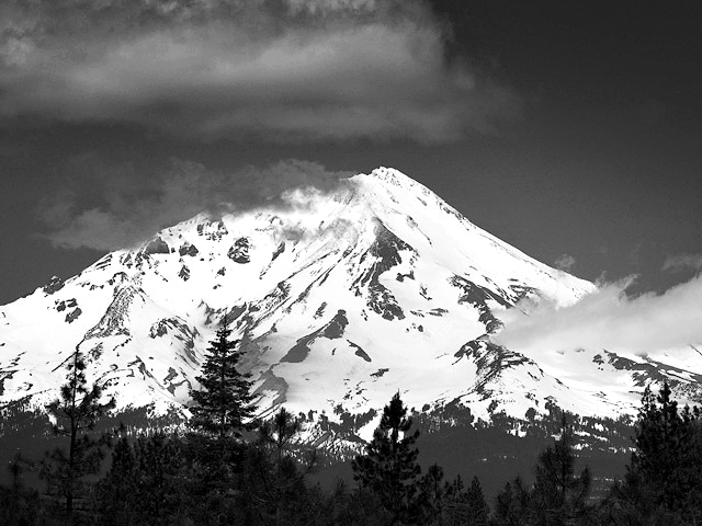 anmldoc-shasta.jpg