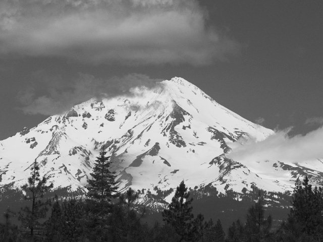 anmldoc-shasta-halfway.jpg