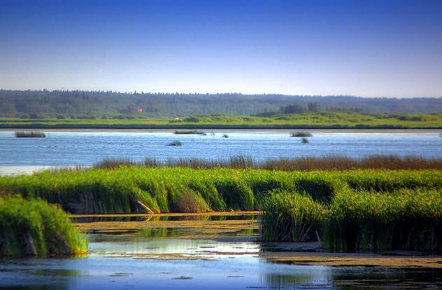 prism-marsh.jpg