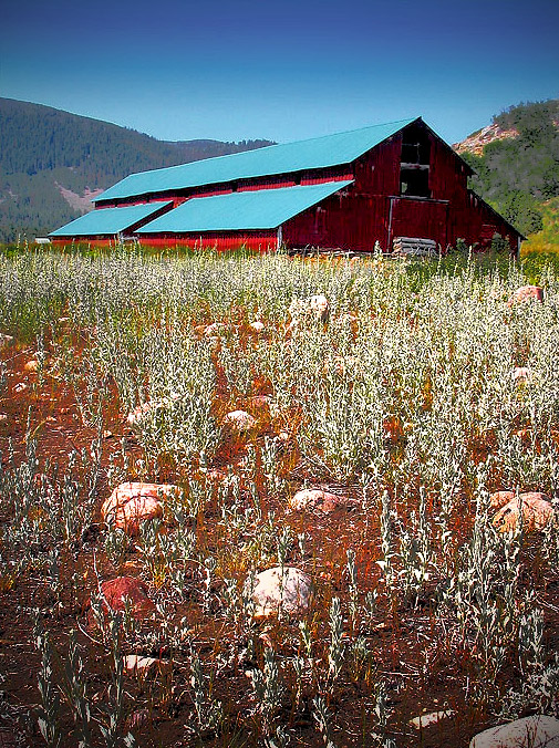 justin-Barn.jpg