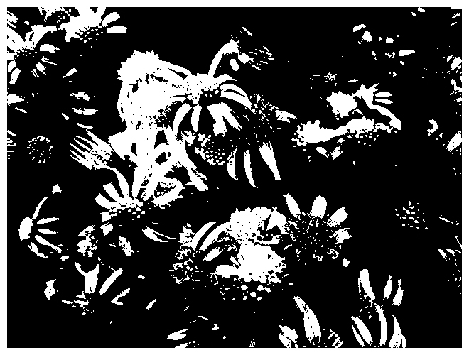 moniepenny-flowers-hc.jpg