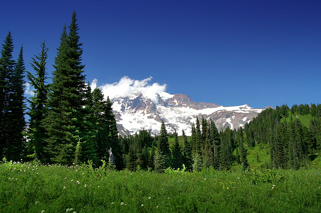 vprn-mountain-scene.jpg