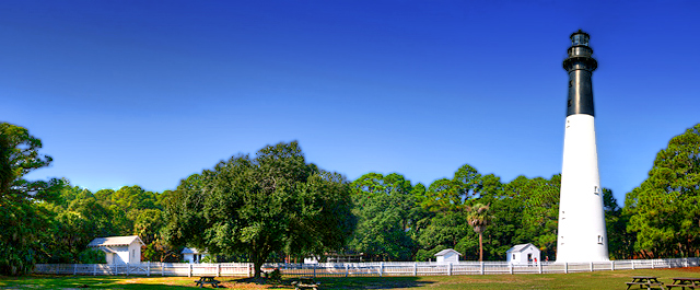 palmetto-pano-TM.jpg