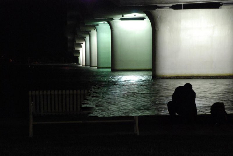 illoosion-loner.jpg
