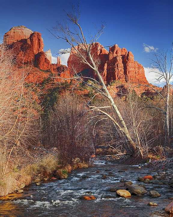 fritz-sedona-720.jpg