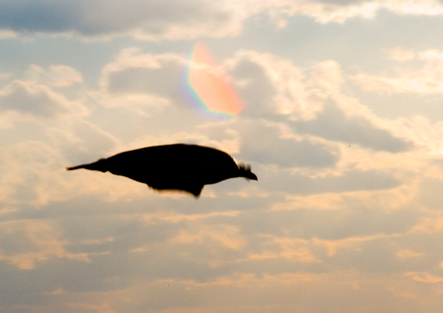 UFO