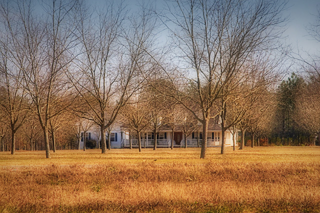 elvis-house.jpg