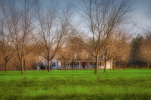 elvis-house-2.jpg