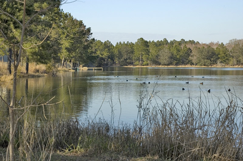 kenskid-pond-straight.jpg