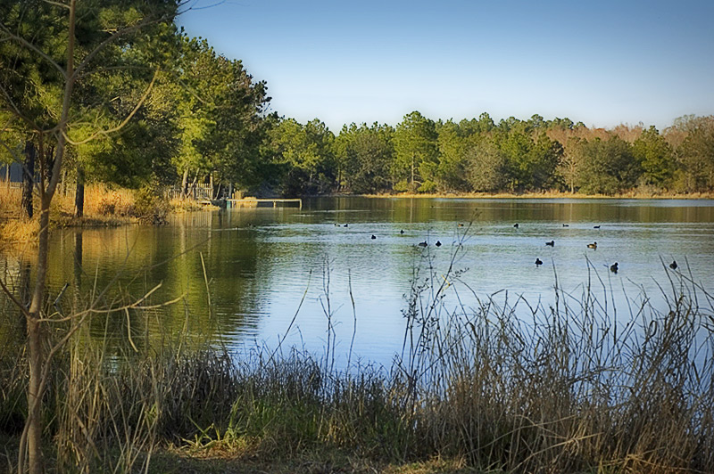 kenskid-pond-glow.jpg