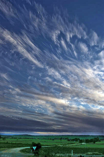 someamateur-landscape.jpg